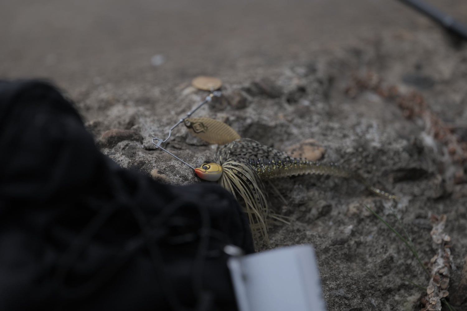 Spinnerbaits