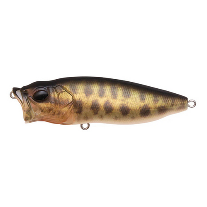 Megabass Pop X GG Perch