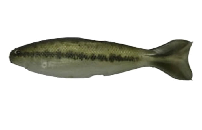 YG.Labo Dorvus 180