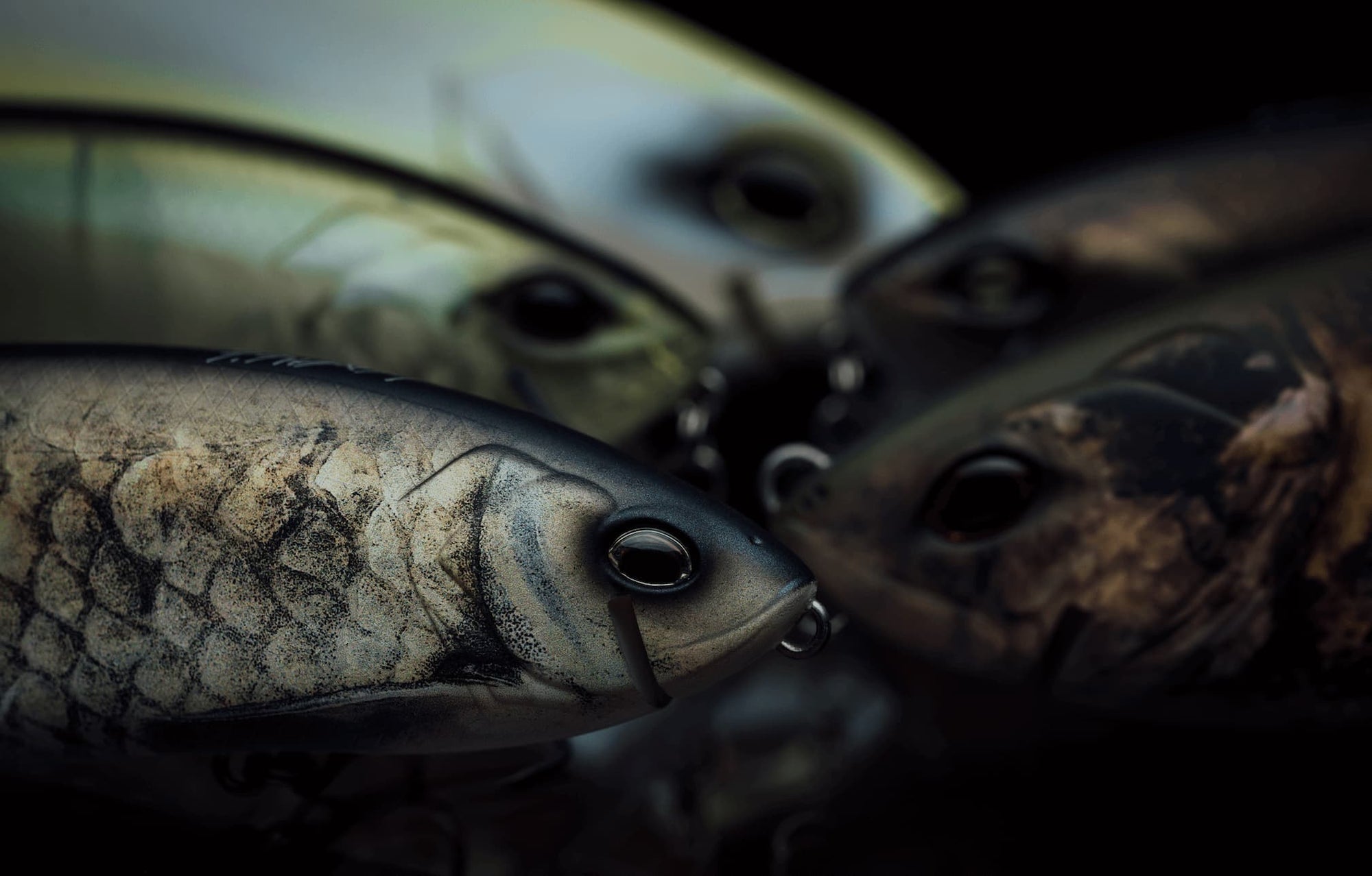 Köderkult DRT Banner