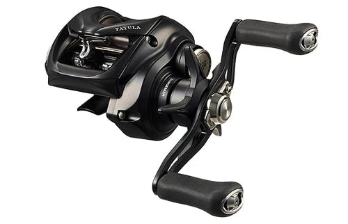 Daiwa Tatula TW XHL 8.1:1
