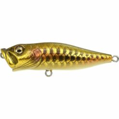 Megabass Pop X Dragon Fish Gold